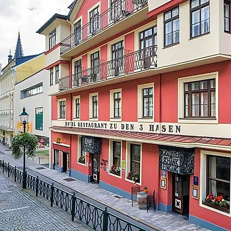 Hotel Drei Hasen