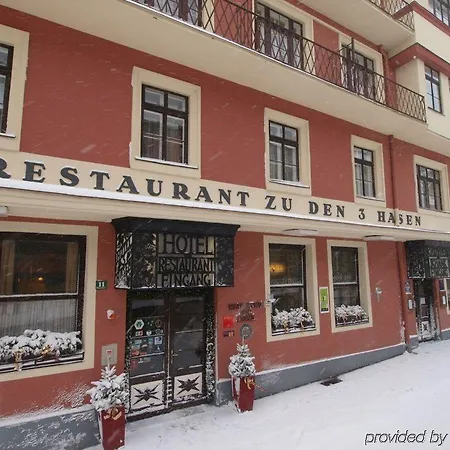Drei Hasen Hotel