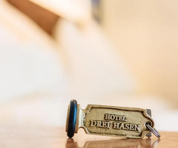 فندق Drei Hasen ماريازيل
